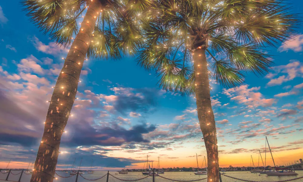 Palm trees lined with warm white holiday lights and a sunset with boats in the background 